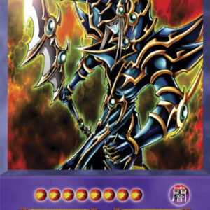 Dark Paladin